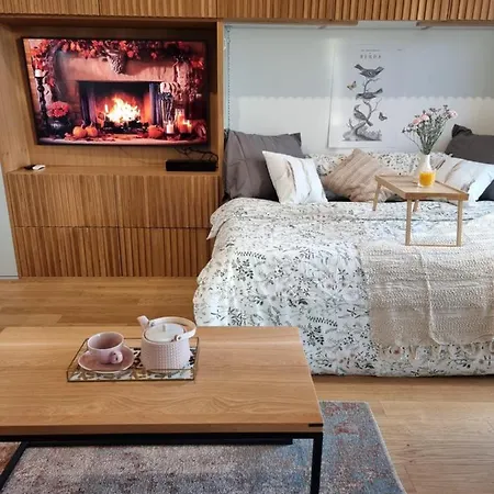 Birdnest Riverview & Parking * Gdansk